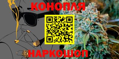 прущие грибы Гатчина