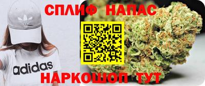 ешки Гагарин