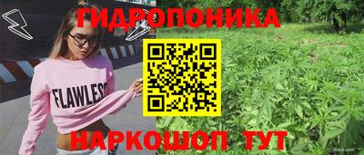 ешки Гагарин