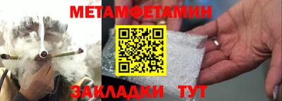 прущие грибы Гатчина
