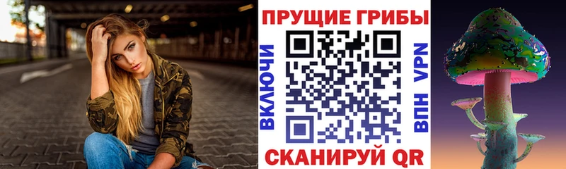 как найти наркотики  Керчь  Псилоцибиновые грибы GOLDEN TEACHER 